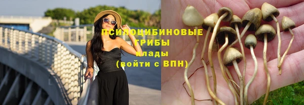 стафф Алексеевка