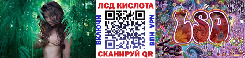 Марки 25I-NBOMe 1,5мг  магазин  наркотиков  маркетплейс как зайти  Новозыбков 