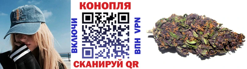 наркота  Новозыбков  Бошки марихуана план 